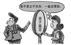 福建亲子鉴定服务机构在哪，福建亲子鉴定多少费用