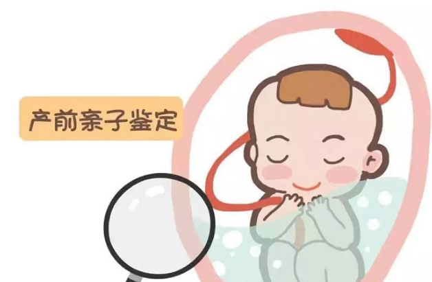 福建肚子里胎儿和父亲需要怎么办理亲子鉴定,福建无创怀孕亲子鉴定价格收费