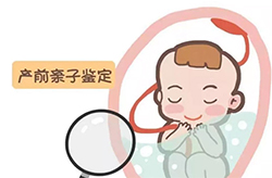 福建肚子里胎儿和父亲需要怎么办理亲子鉴定,福建无创怀孕亲子鉴定价格收费 福建肚子里胎儿和父亲需要怎么办理亲子鉴定,福建无创怀孕亲子鉴定价格收费