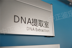 福建DNA亲子鉴定机构在什么地方(2026最新)